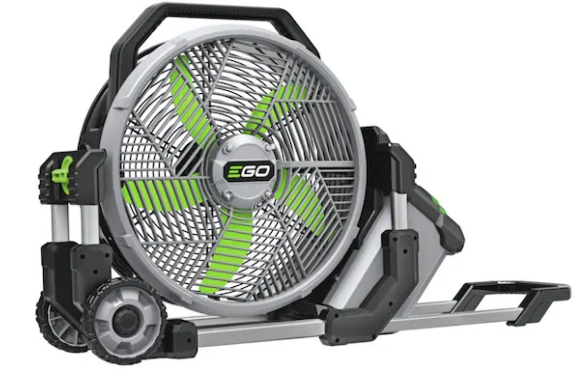Fan